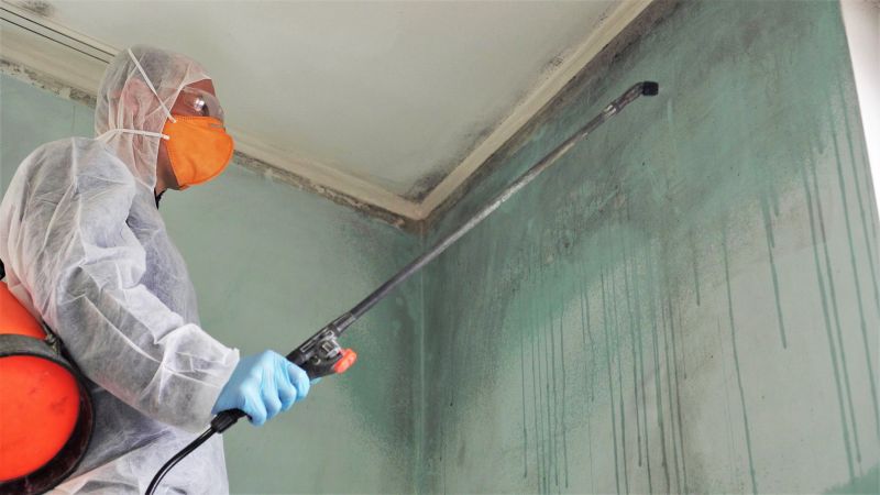 Attic Mold Remediation in Fort Lauderdale, FL