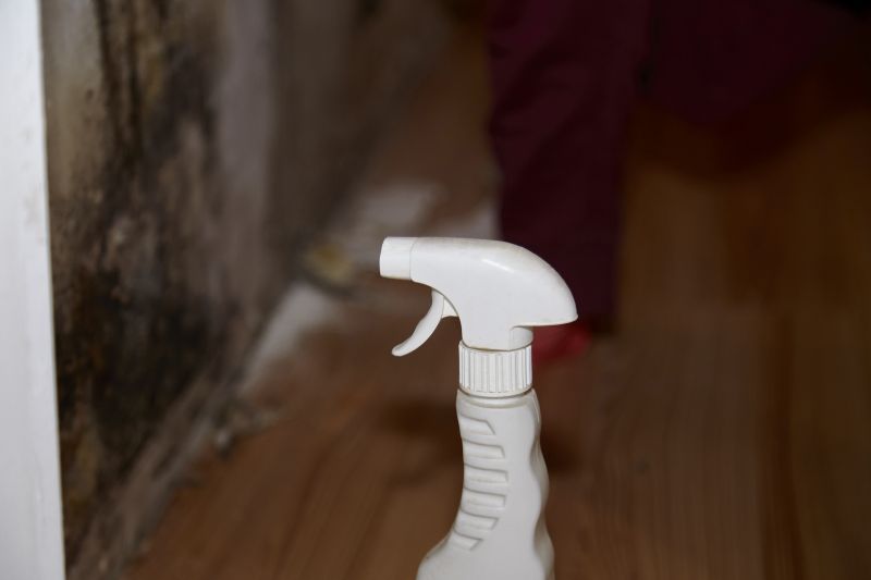 Attic Mold Removal in Fort Worth, TX