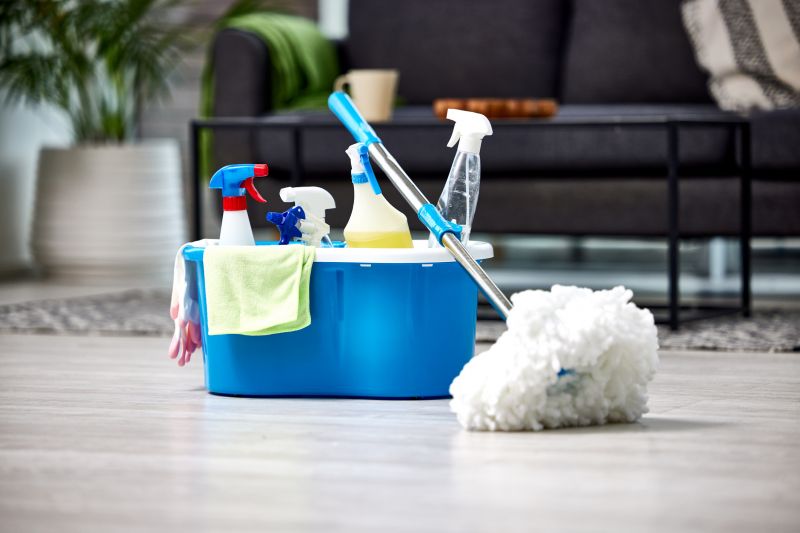 Basement Cleaning Service in Renton, WA