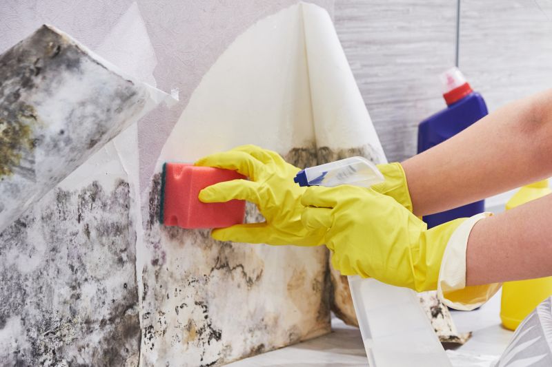 Basement Mold Remediation in Boca Raton, FL