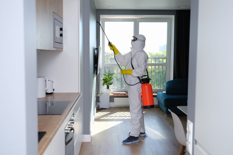 Basement Mold Removal in Dallas, TX