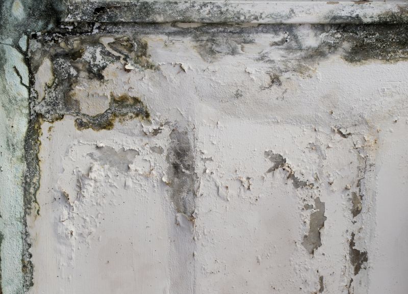 Basement Mold Removal in Bergen County, NJ