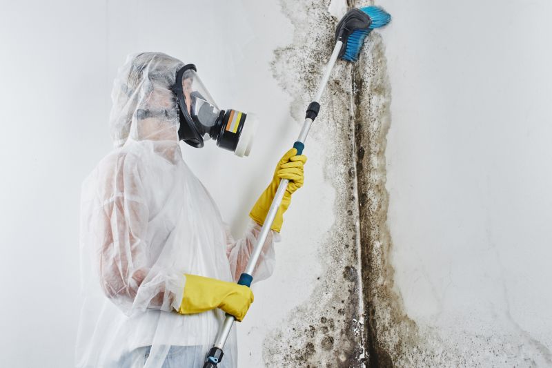Basement Mold Removal in Boca Raton, FL