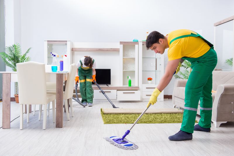 Basement Vacuuming in Puyallup, WA