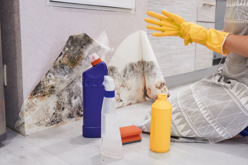 Black Mold Remediation in Essex County, NJ