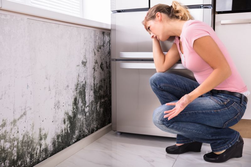 Black Mold Removal in Plano, TX