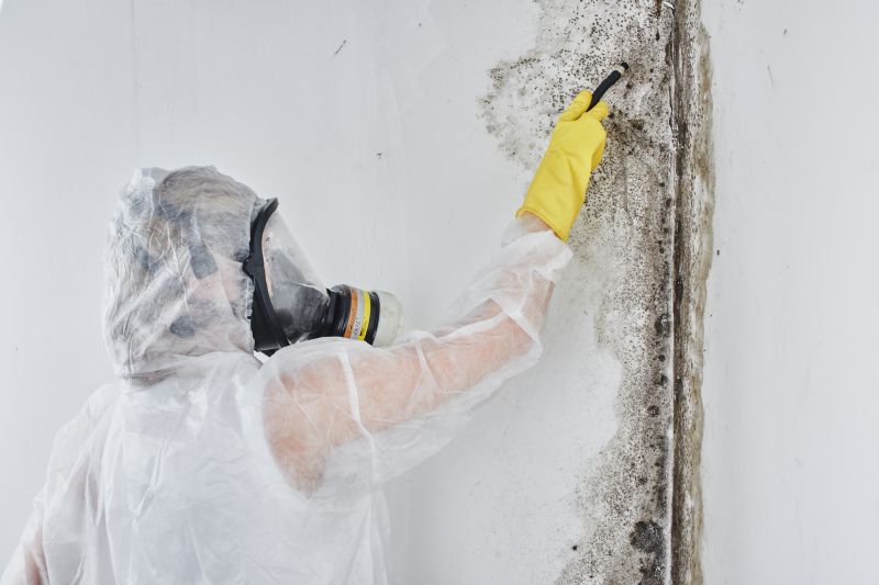 Black Mold Removal in Palm Beach County, FL
