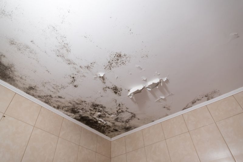 Ceiling Mold Removal in Boca Raton, FL