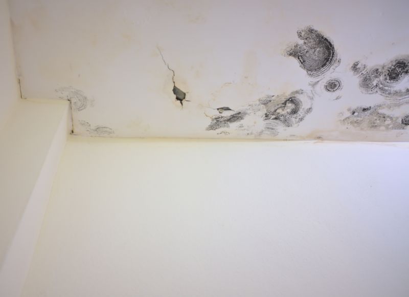 Ceiling Mold Removal in Broward County, FL