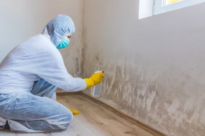 Crawl Space Mold Removal in Bergen County, NJ