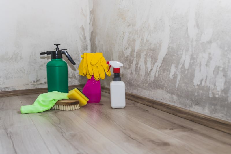 Crawl Space Mold Removal in Fort Lauderdale, FL
