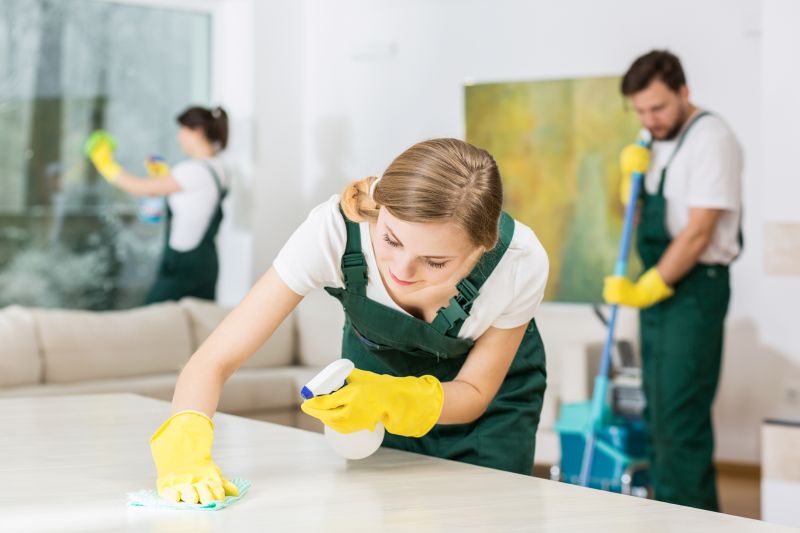 Kitchen Cleaning in Bellevue, WA