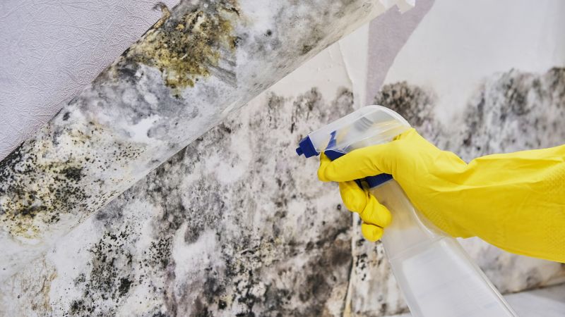 Mold Abatement in Bergen County, NJ