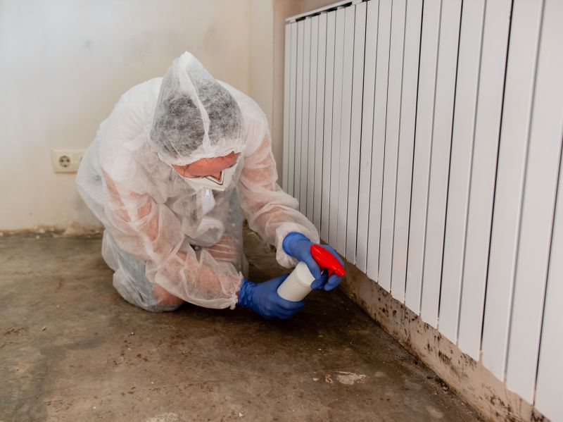 Mold Abatement Service in Fort Worth, TX