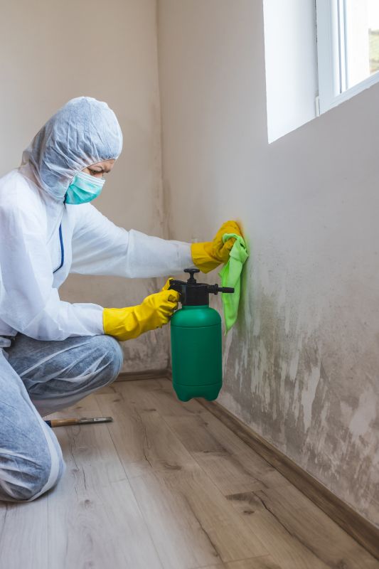 Mold Cleanup Service in Broward County, FL