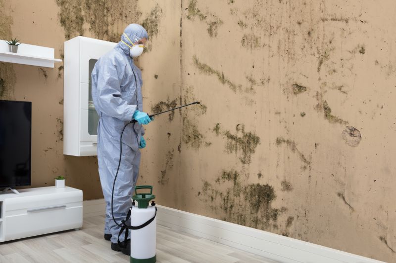 Mold Control in Frisco, TX