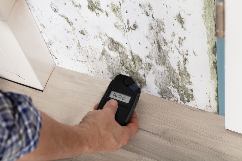 Mold Detection in Weatherford, TX