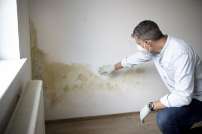 Mold Remediation Service in Boca Raton, FL