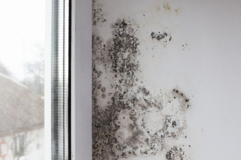 Mold Removal in Bergen County, NJ