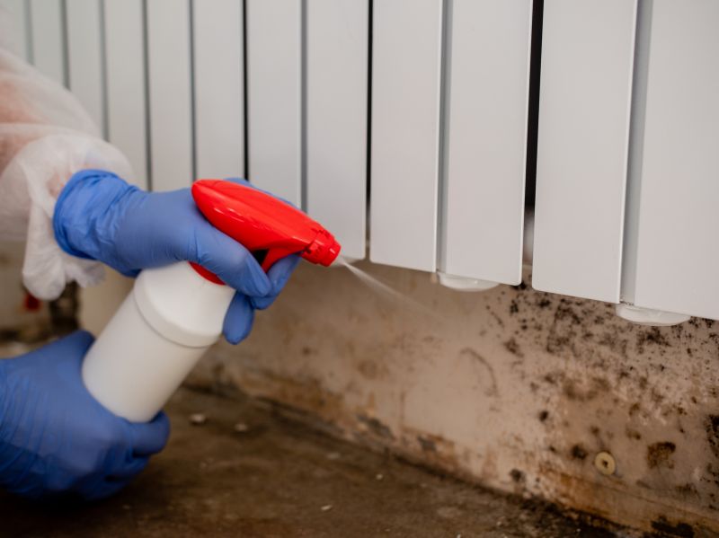Mold Removal in Fort Lauderdale, FL