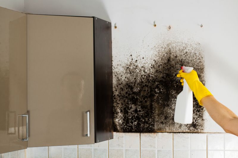Mold Removal in West Palm Beach, FL