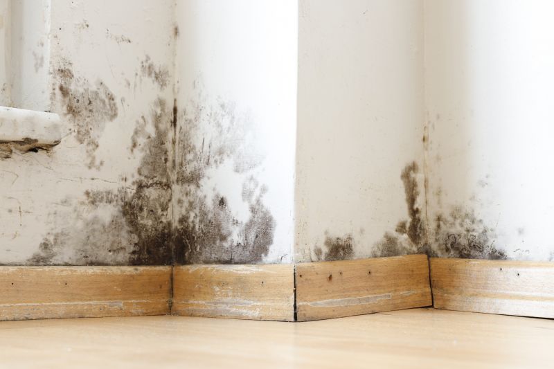 Mold Restoration in Frisco, TX