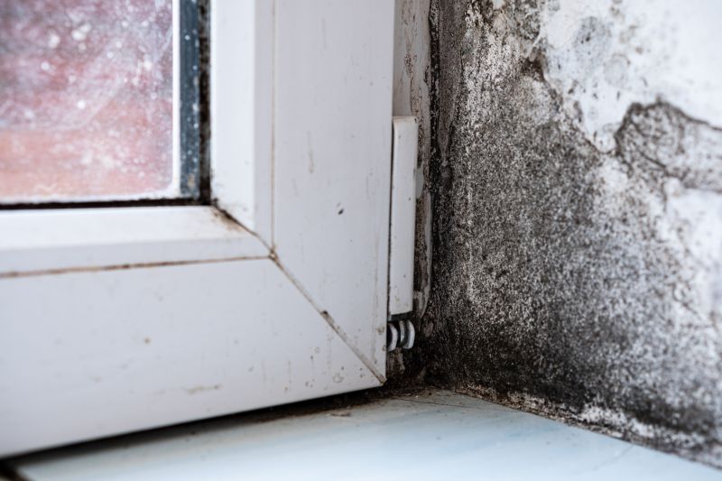 Mold Restoration in Fort Lauderdale, FL