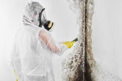 White Mold Mitigation in Jupiter, FL