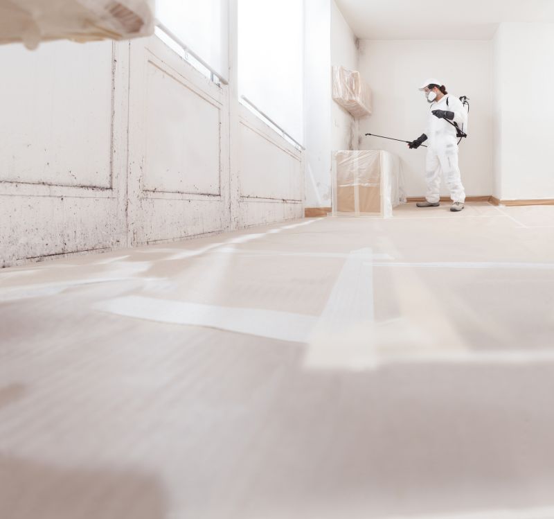 Attic Mold Removal in Jupiter, FL