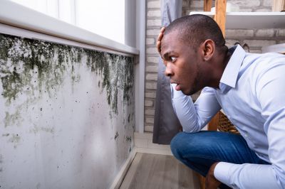 Mold Abatement in Palm Beach County, FL
