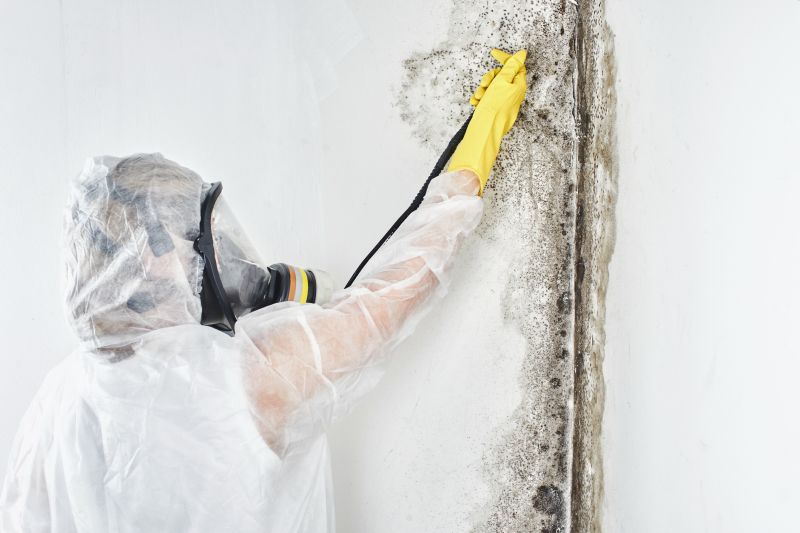 Mold Abatement in Boca Raton, FL