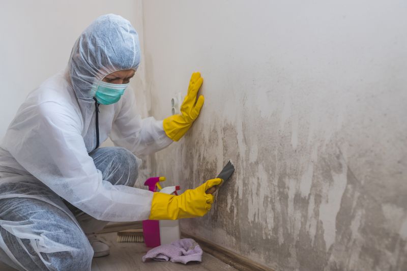 Mold Abatement Service in Boca Raton, FL